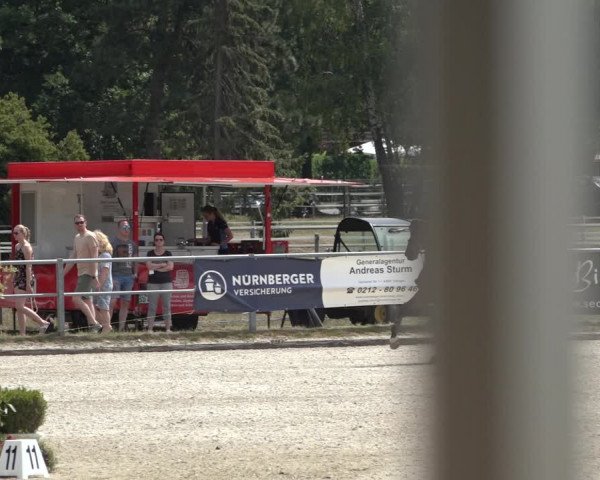 Rheinische Meisterschaften (Langenfeld) 2022