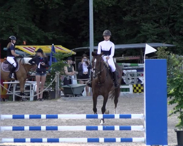 Reitturnier Meilen, Pfannenstiel 2022