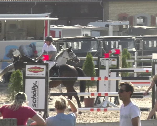 Reitturnier Sand-Schönbühl 2022