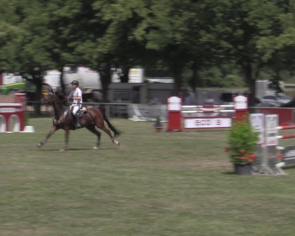 Reitturnier Reitstadion Löbnitz 2022