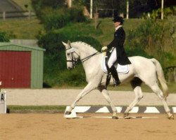 Dressurpferd Kinnordy Gyron (Hannoveraner, 2002, von Gymnastic Star)