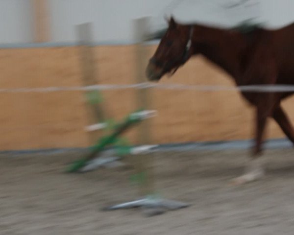 Video of Lulu CD