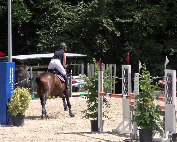 Reitturnier Meilen, Pfannenstiel 2022