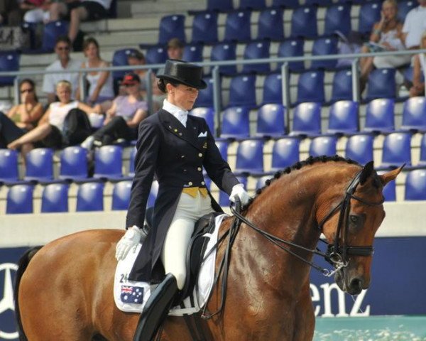 Dressurpferd Potifar (KWPN (Niederländisches Warmblut), 1997, von Jazz) Dressurpferd Potifar (KWPN (Niederländisches Warmblut), 1997, von Jazz)