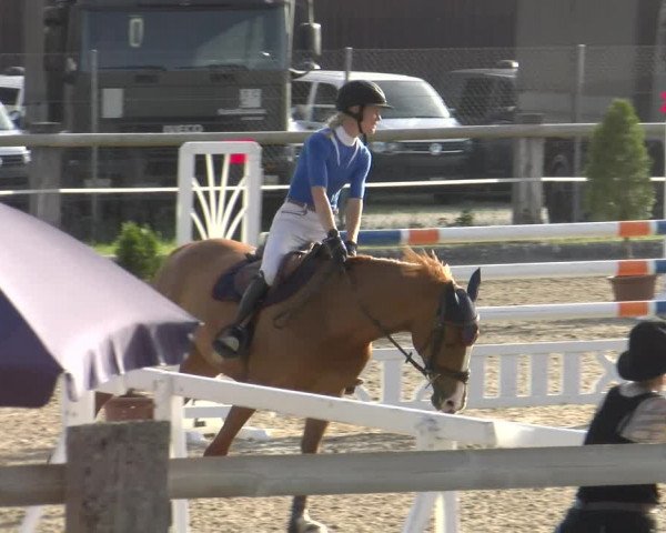 Reitturnier Sand-Schönbühl 2022