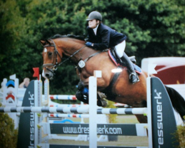 jumper Fred Feuerstein 37 (Holsteiner, 2002, from Lancer II)
