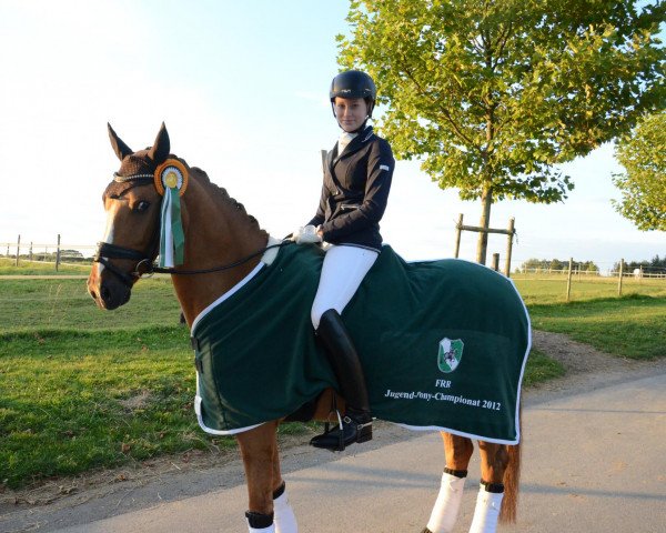 dressage horse Dominquez G (German Riding Pony, 2005, from Dornik B)