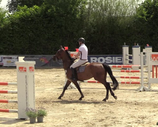 Reitturnier Fröndenberg 2022