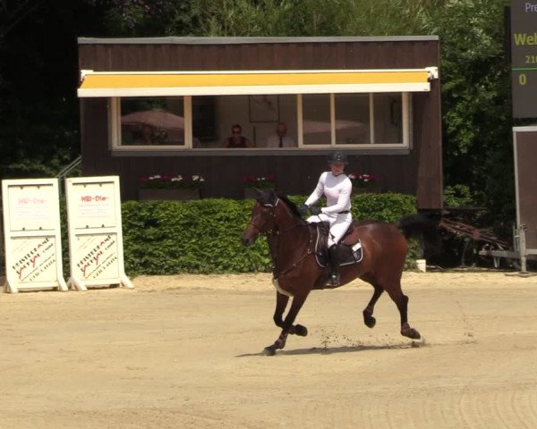 Reitturnier Fröndenberg 2022