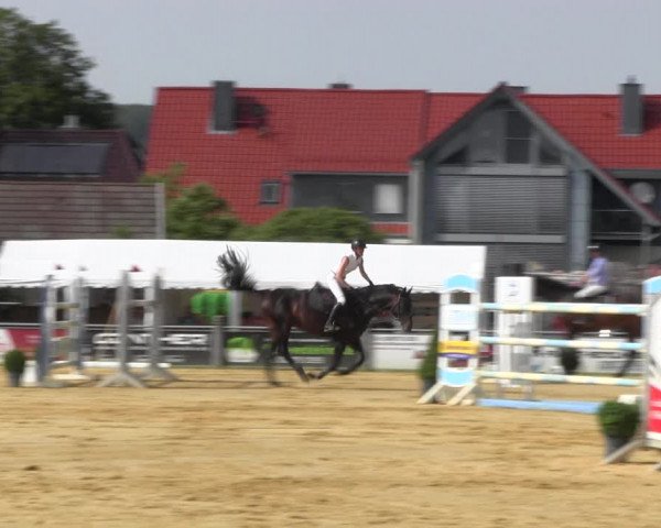 Reitturnier Dingelstädt 2022