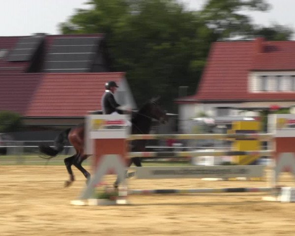 Reitturnier Dingelstädt 2022