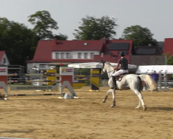 Reitturnier Dingelstädt 2022