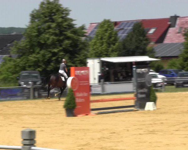 Reitturnier Dingelstädt 2022