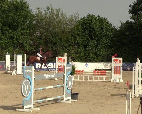 Reitturnier Fröndenberg 2022