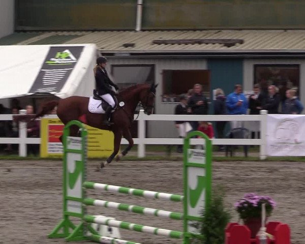 Springturnier Mildstedt 2021