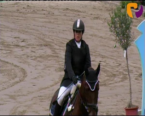 jumper Monte Carlo 41 (Hessian Warmblood, 1992, from Monte Carlo I)