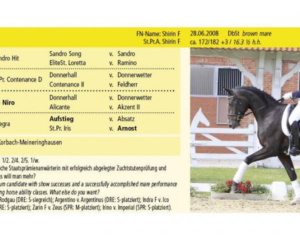 Zuchtstute Shirin F (Hannoveraner, 2008, von Sir Donnerhall I) Zuchtstute Shirin F (Hannoveraner, 2008, von Sir Donnerhall I)