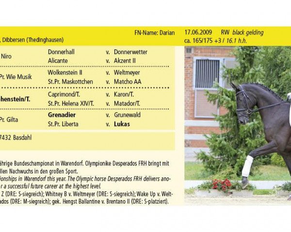 Pferd Darian (Hannoveraner, 2009, von Desperados FRH)