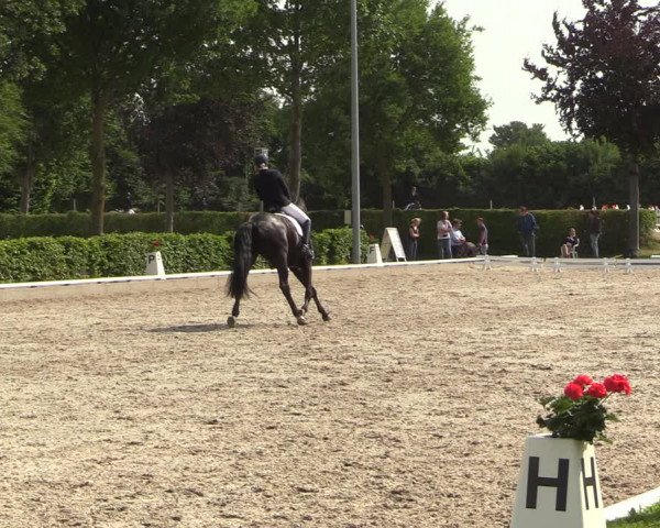 Reitturnier Fröndenberg 2022