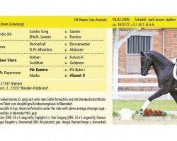 stallion San Antonio 22 (Hanoverian, 2009, from Soliman)