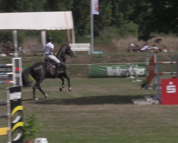 Reitturnier Reitstadion Löbnitz 2022
