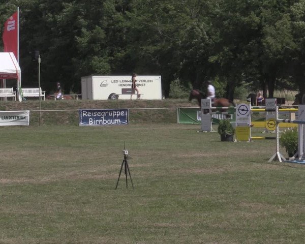 Reitturnier Reitstadion Löbnitz 2022
