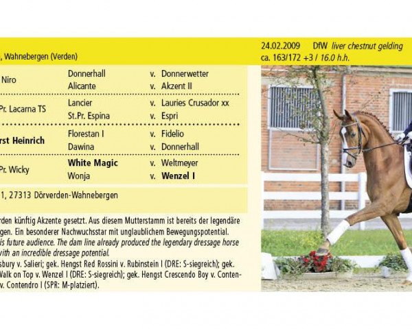 horse Dance on Top (Hanoverian, 2009, from Dancier)