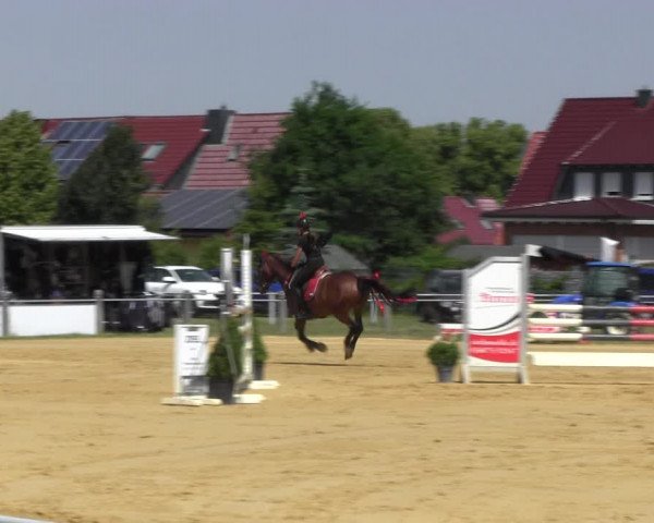 Reitturnier Dingelstädt 2022