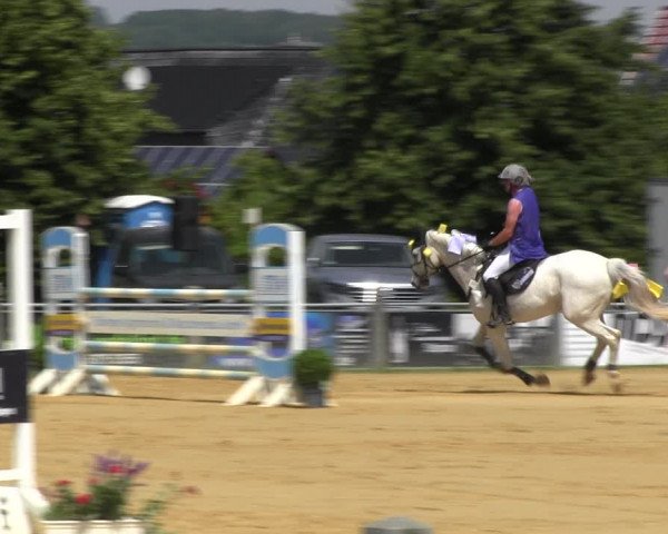 Reitturnier Dingelstädt 2022