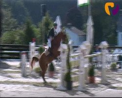 broodmare Zjuliana Fairy V (KWPN (Royal Dutch Sporthorse), 2004, from Nassau)
