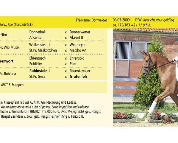 Pferd Dornvelder (Hannoveraner, 2009, von Desperados FRH)