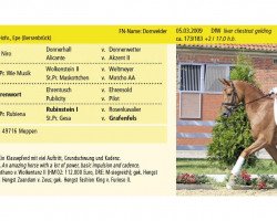 Pferd Dornvelder (Hannoveraner, 2009, von Desperados FRH)