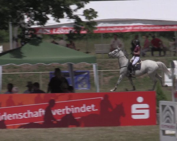Reitturnier Reitstadion Löbnitz 2022