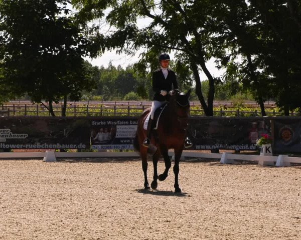 Reitturnier Ruhlsdorf 2022