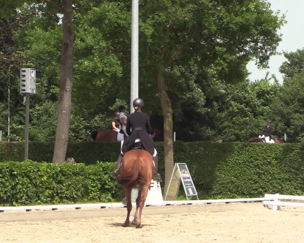 Reitturnier Fröndenberg 2022