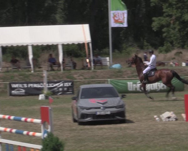 Reitturnier Reitstadion Löbnitz 2022