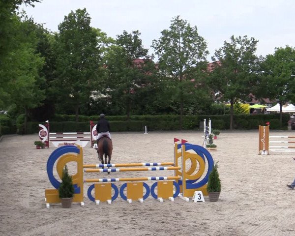 Reitturnier Lemwerder 2022