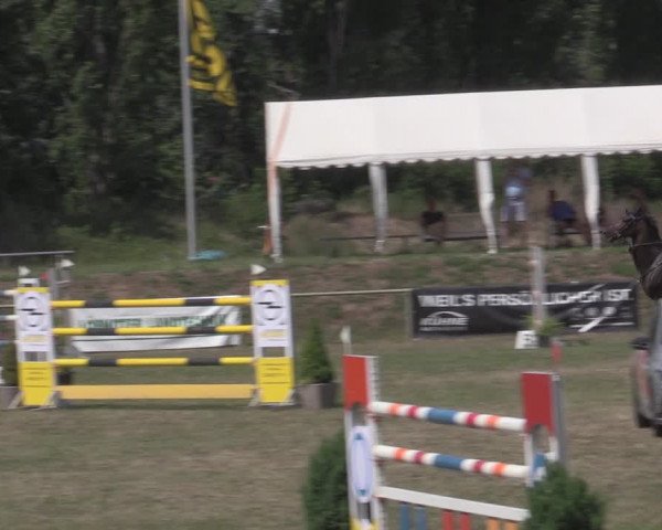 Reitturnier Reitstadion Löbnitz 2022