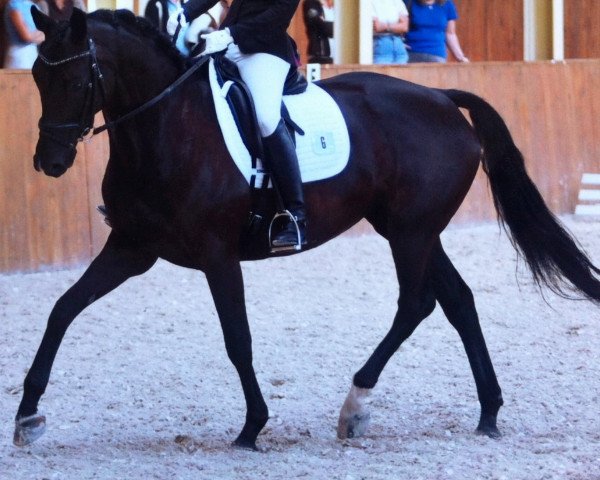 broodmare Alina-Anais (Rhinelander, 2005, from Abanos)