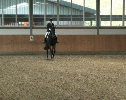 dressage horse Le grand Monsieur (Westphalian, 2002, from Laomedon)