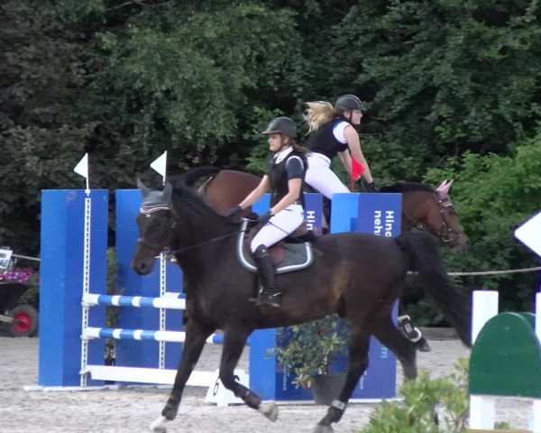 Reitturnier Meilen, Pfannenstiel 2022