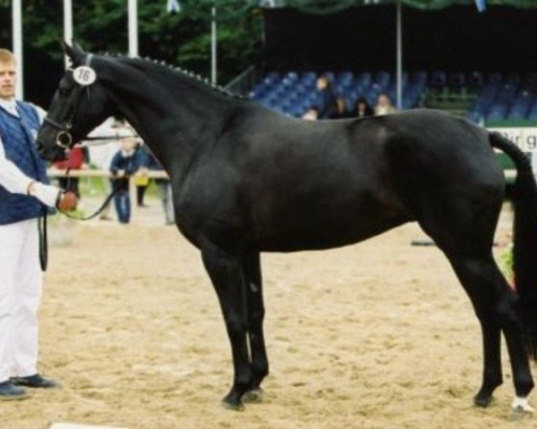 broodmare Rendezvous (Bavarian, 1994, from Silvio I) broodmare Rendezvous (Bavarian, 1994, from Silvio I)