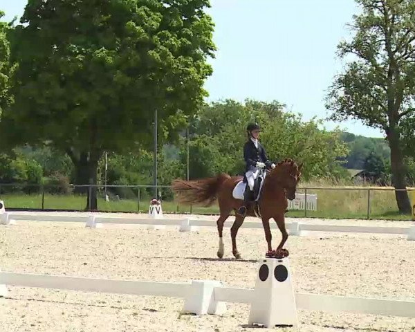 Reitturnier Rot am See- Musdorf 2022