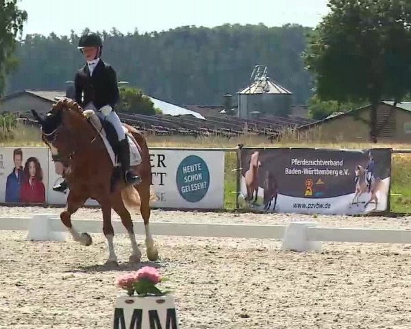 Reitturnier Rot am See- Musdorf 2022