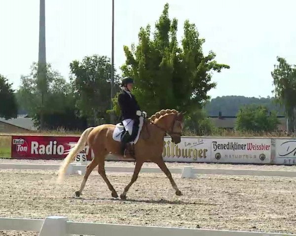 Reitturnier Rot am See- Musdorf 2022