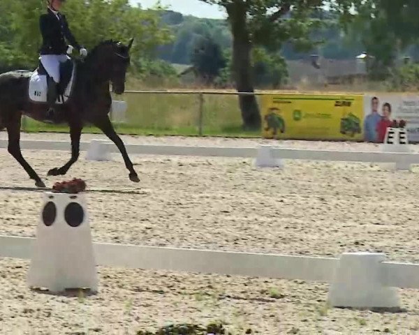 Reitturnier Rot am See- Musdorf 2022