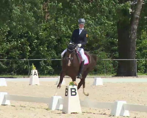 Reitturnier Rot am See- Musdorf 2022