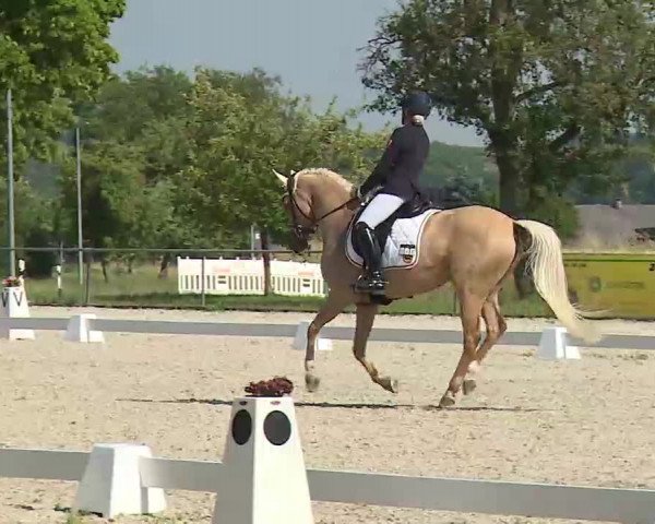 Reitturnier Rot am See- Musdorf 2022
