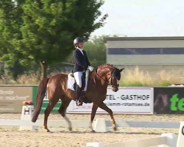 Reitturnier Rot am See- Musdorf 2022