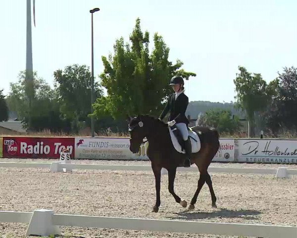 Reitturnier Rot am See- Musdorf 2022